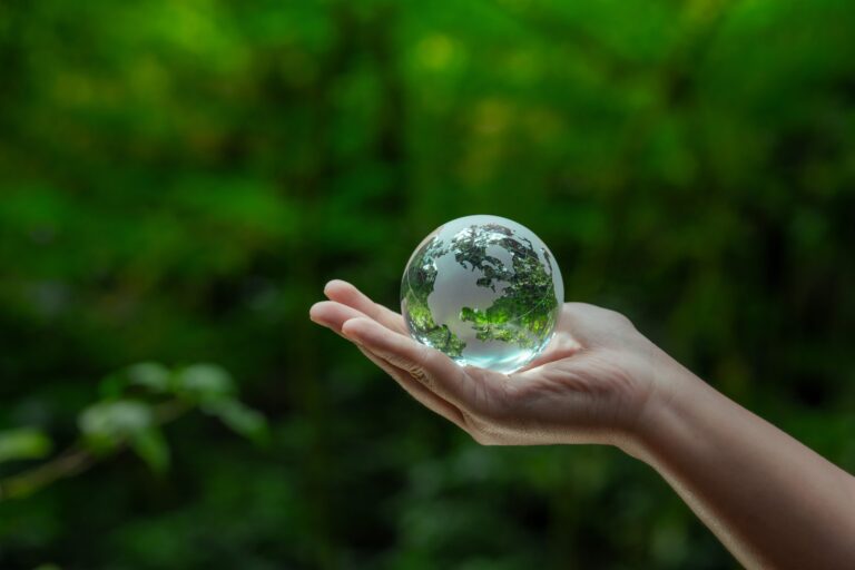 guia completa mercado voluntario de carbono