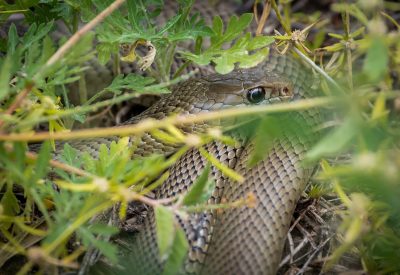 DSC_6337-scaled