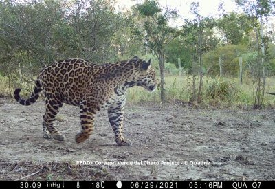 Q_IMAGE_010-scaled