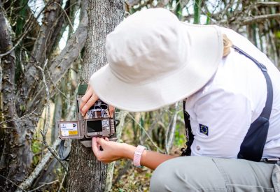 Biodiversity impact monitoring for REDD+ Corazón Verde del Chaco project.